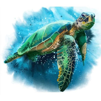 PascalImmobilier - SenHubImmo.com